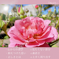 花🌸花YOGA カード